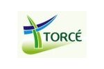 Torcé