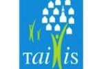 15 Taillis