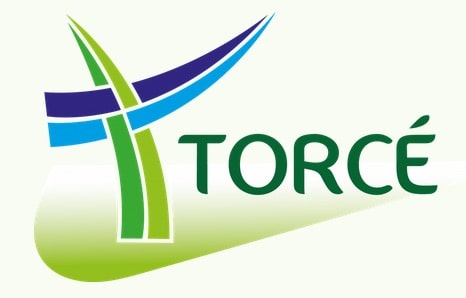 Torcé