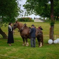 desarticule 2019 9