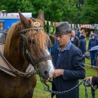 desarticule 2019 10