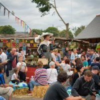 desarticule 2017 45