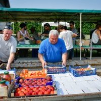 benevoles 2017 6