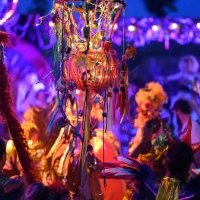 Le bal des oiseaux
