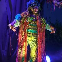 Le bal des oiseaux